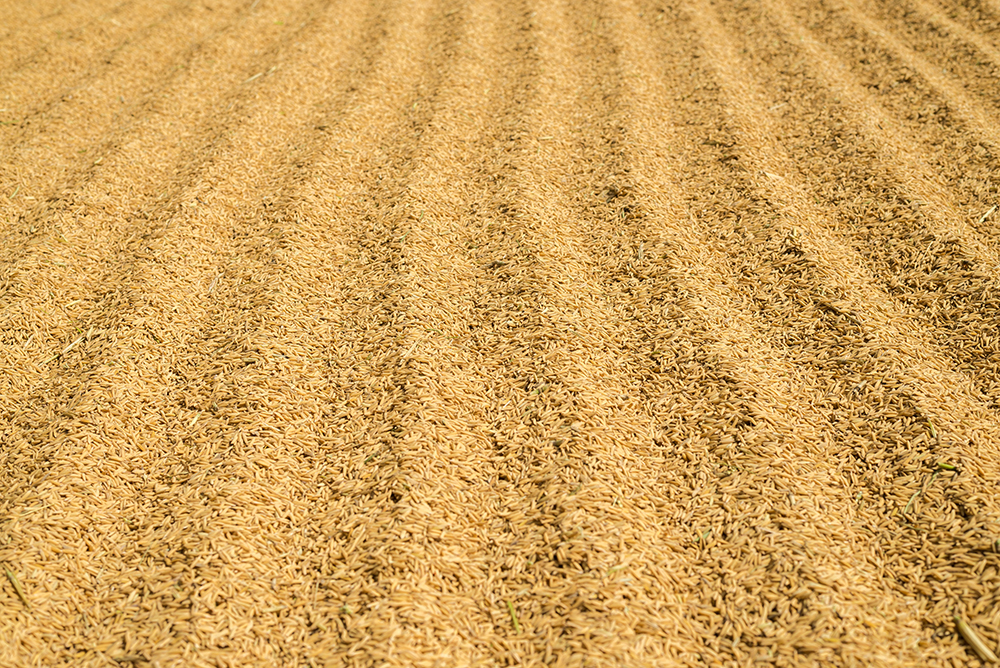 Milling rice process